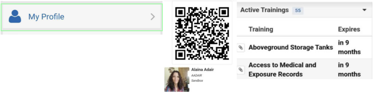 Screenshot 2024-11-04 at 11.48.25 AM.png